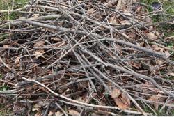 Photo of Various Textures